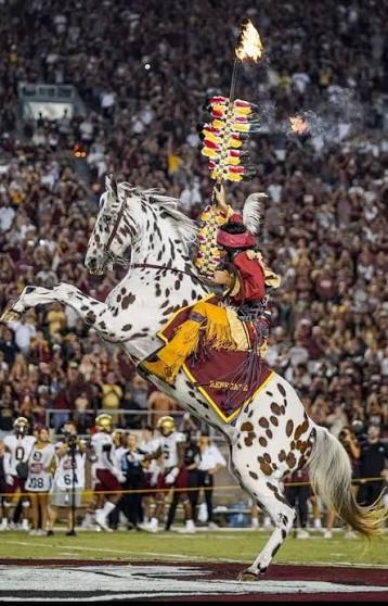 3374 » Greenville Sports Media