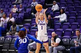 furmanwbb3