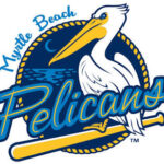 Myrtle Beach Pelicans baseball team logo featuring a white pelican perched over a yellow bat with the blue wordmark 'Pelicans' and a circular blue emblem behind it.