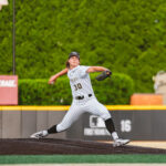 Baseball pitcher in a white pinstripe uniform throwing from the mound with a black cap and glove, mid-action against a green outfield backdrop.