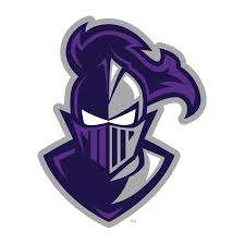 Stylized purple knight mascot logo with helmet and visor facing forward, silver outline.