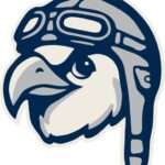Stylized navy and gray eagle head logo with a helmet and goggles.
