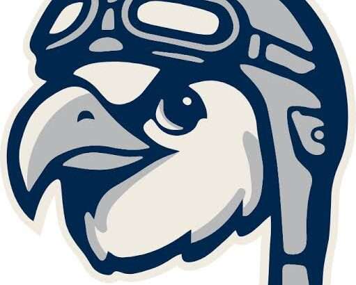 Stylized navy and gray eagle head logo with a helmet and goggles.