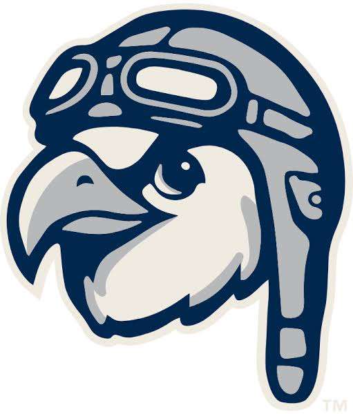 Stylized navy and gray eagle head logo with a helmet and goggles.