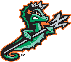 Team logo featuring a green dragon mascot wielding a silver sword with orange and black outline.