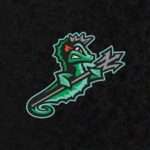 Stylized green dragon mascot logo on a black background, facing left with a jagged bolt of lightning near its mouth.