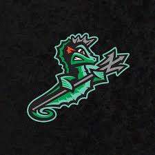 Stylized green dragon mascot logo on a black background, facing left with a jagged bolt of lightning near its mouth.