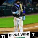 pelicansjackets