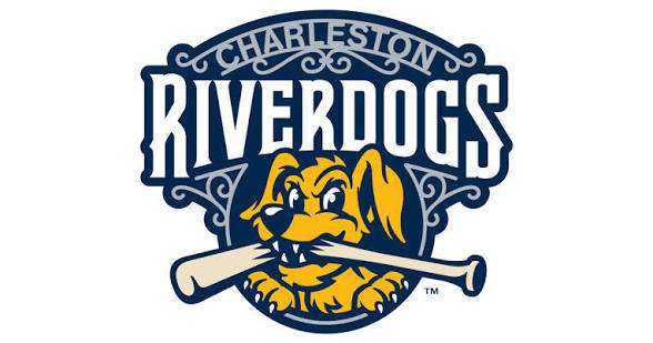 Charleston RiverDogs team logo featuring a yellow bulldog holding a baseball bat in its mouth within a blue shield.