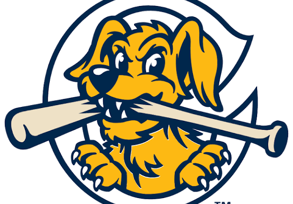 Cartoon yellow dog mascot inside a blue circular frame, chewing a large bone