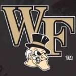 Logo with large beige 'WTF' lettering and a cartoon bulldog wearing a black top hat in front, on a dark background.