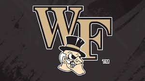 Logo with large beige 'WTF' lettering and a cartoon bulldog wearing a black top hat in front, on a dark background.