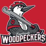 Fayetteville Woodpeckers logo: a woodpecker mascot gripping a gray bat on a red background, with 'Fayetteville Woodpeckers' text.