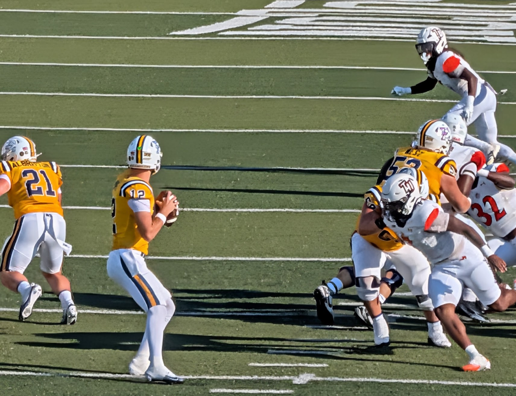 Bucs QB Mims