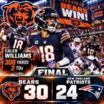 bearspatriots1