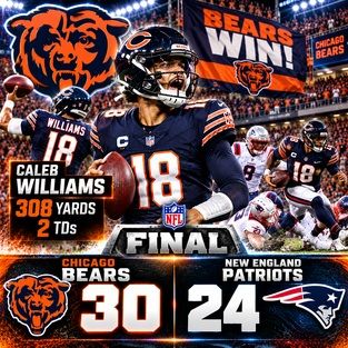 bearspatriots1